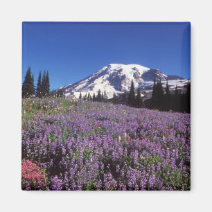summer wildflowers at the base of Mount Rainier, Magnet
