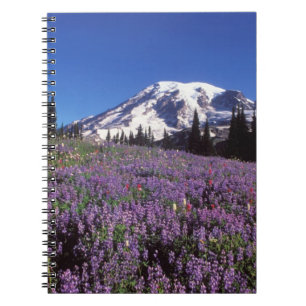summer wildflowers at the base of Mount Rainier, Notebook