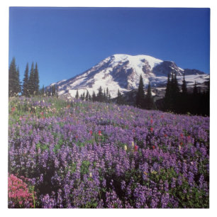 summer wildflowers at the base of Mount Rainier, Tile