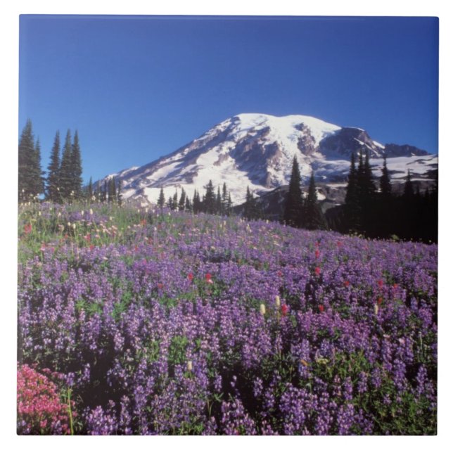 summer wildflowers at the base of Mount Rainier, Tile (Front)