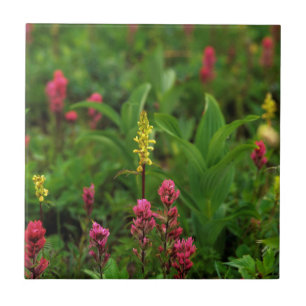 Summer Wildflowers Send Forth A Riot Of Colour Ceramic Tile