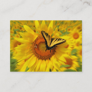 Summer wings , Business card