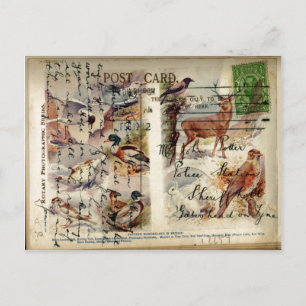 Summer & Winter Wildlife Postcard