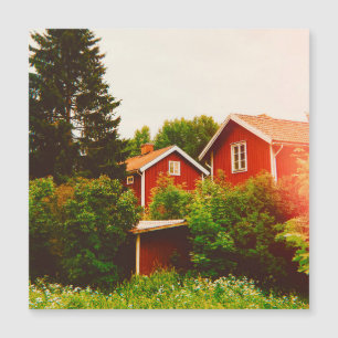 Summer's day in Dalarna