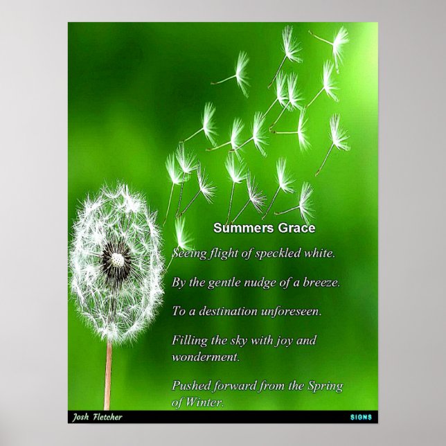 Summers Grace Poster (Front)
