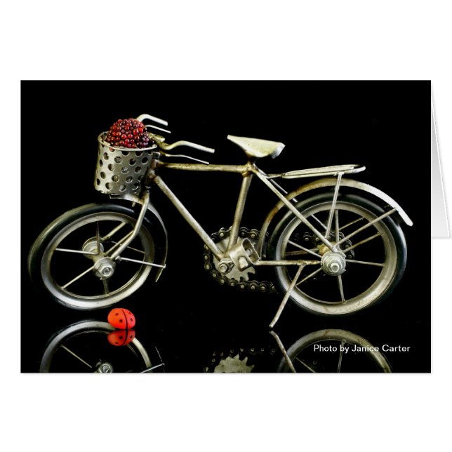 Summertime! (Front Horizontal)