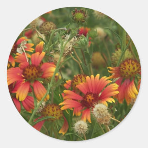 summertime floral sticker