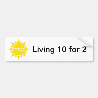 Summertime Forever bumper sticker