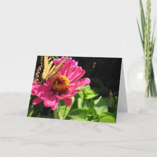 Summertime Friends 2 Card