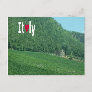 Summertime Italian Countryside Postcard