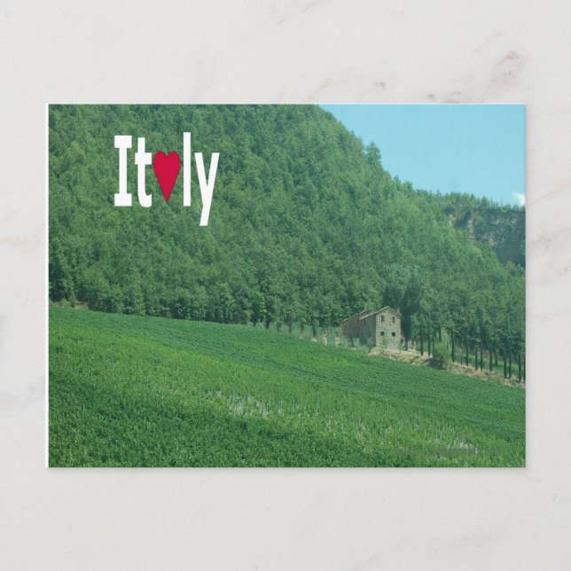 Summertime Italian Countryside Postcard (Front)