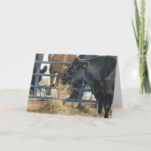 Summertime Memories - Back In The Barn Card