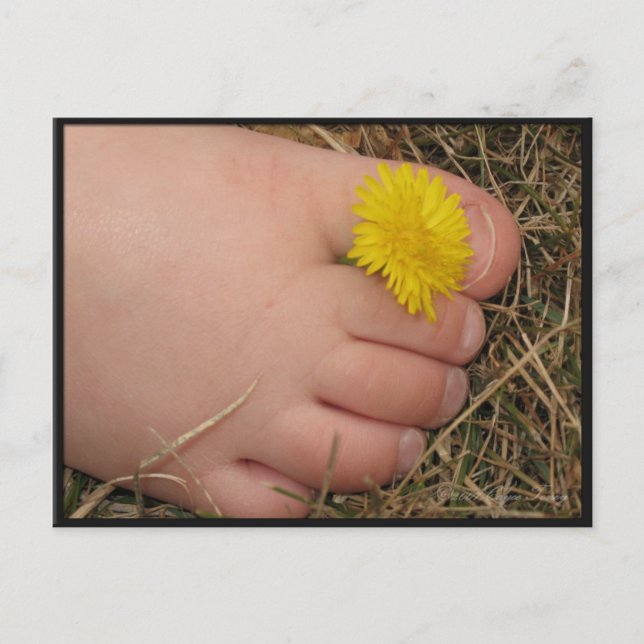 Summertime Postcard (Front)