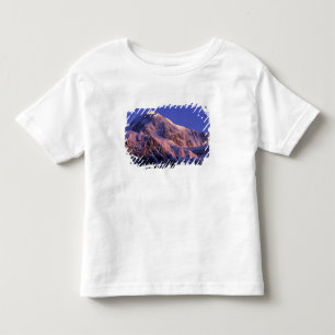 Summit of Denali Peak Mt. McKinley) at Toddler T-Shirt