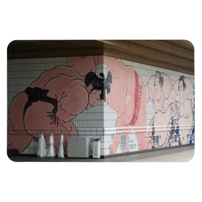 Sumo Mural Wall Art Magnet (Horizontal)