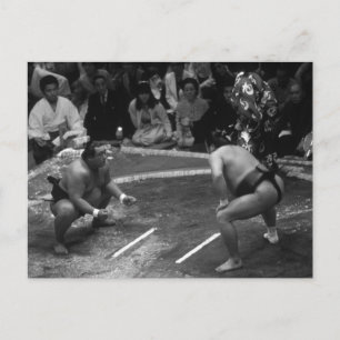 SUMO Wrestling Postcard