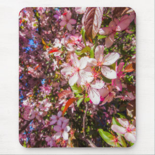 Sun and clouds Nature blooms Heart in flowers Mouse Pad