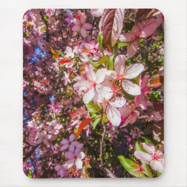 Sun and clouds Nature blooms Heart in flowers Mouse Pad (Front)