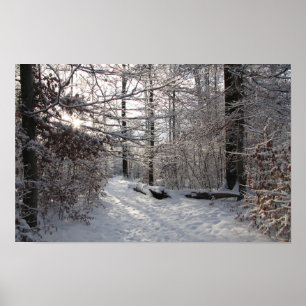 Sun and cold poster