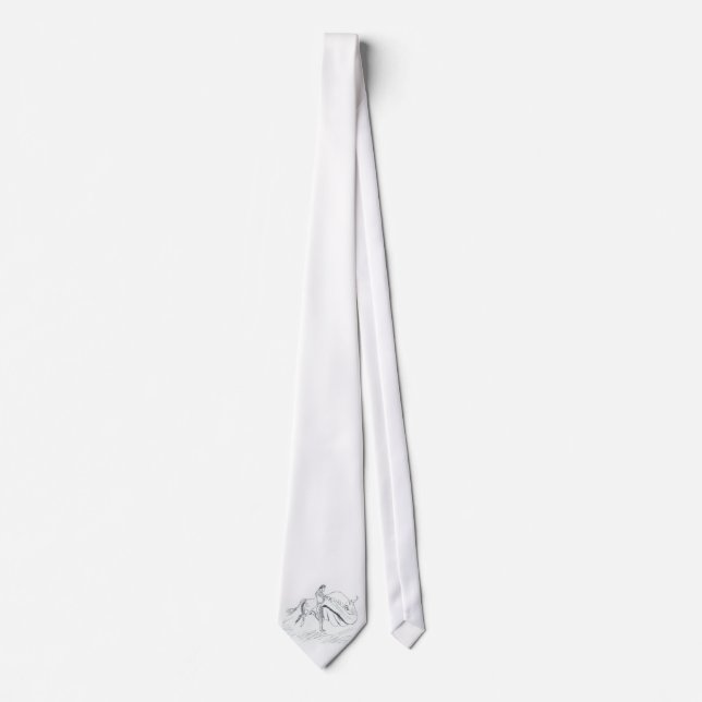 Sun and Shade Tie (Front)
