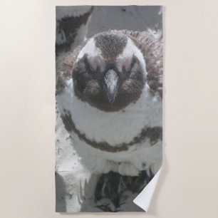 Sun Bathing Penguin Beach Towel
