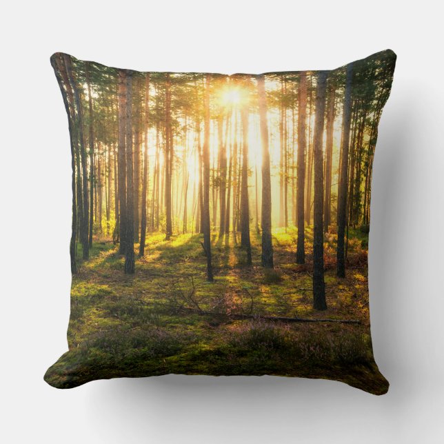 Sun beams shines in pine forest cushion (Front)