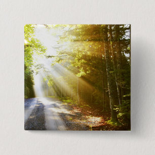 Sun Beams Through Forest in Acadia National Park 15 Cm Square Badge