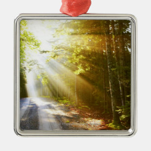 Sun Beams Through Forest in Acadia National Park Metal Tree Decoration