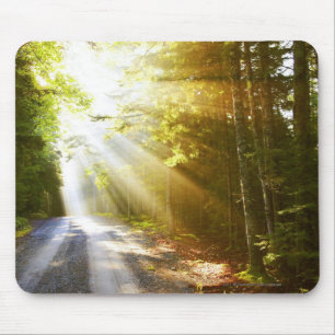 Sun Beams Through Forest in Acadia National Park Mouse Pad
