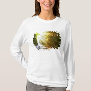Sun Beams Through Forest in Acadia National Park T-Shirt