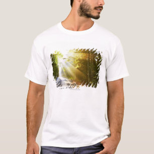 Sun Beams Through Forest in Acadia National Park T-Shirt