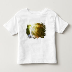 Sun Beams Through Forest in Acadia National Park Toddler T-Shirt