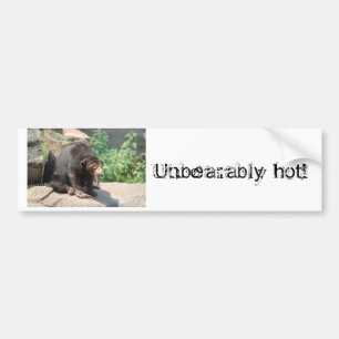 Sun Bear Bumper Sticker