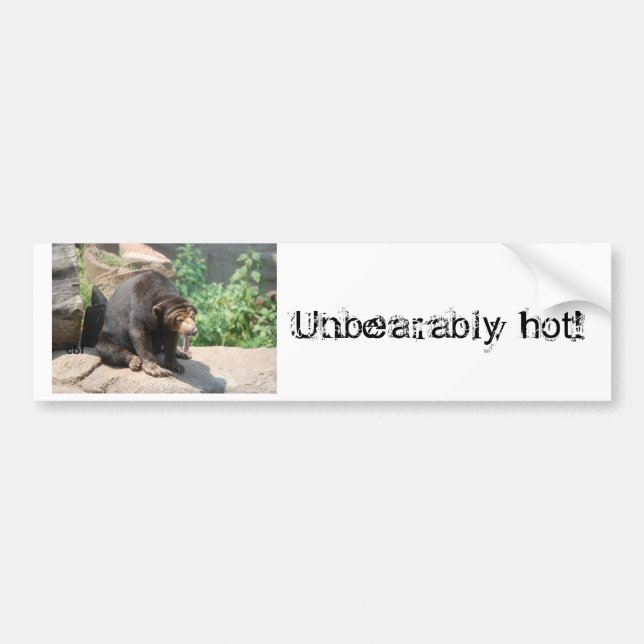 Sun Bear Bumper Sticker (Front)