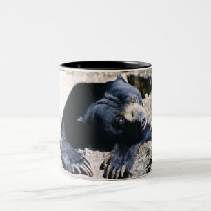Sun Bear Coffee Cup