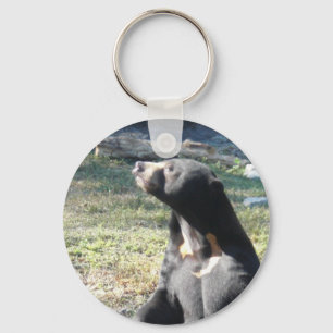 Sun Bear Key Ring