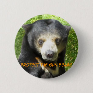 Sun Bear Ting Ting Button