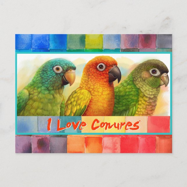 Sun blue-crowned green-cheeked conures postcard (Front)