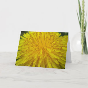 Sun Burst Greeting Card