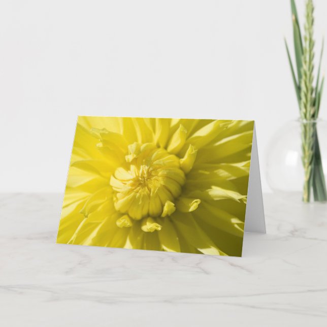 Sun burst greeting card (Front)