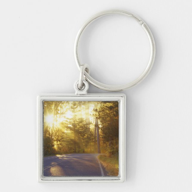 Sun bursts through the forest onto roadway at key ring (Front)
