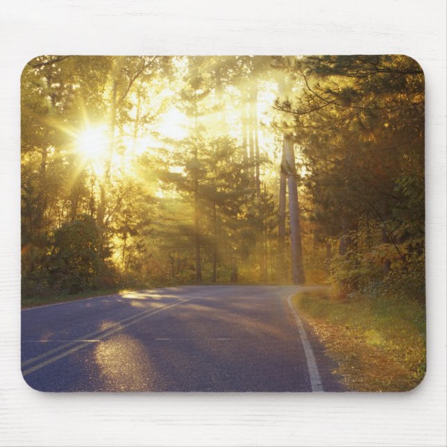 Sun bursts through the forest onto roadway at mouse pad (Front)