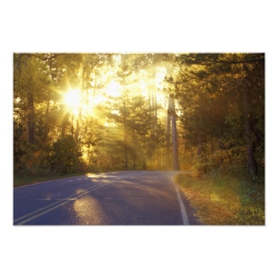 Sun bursts through the forest onto roadway at photo print