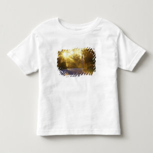 Sun bursts through the forest onto roadway at toddler T-Shirt