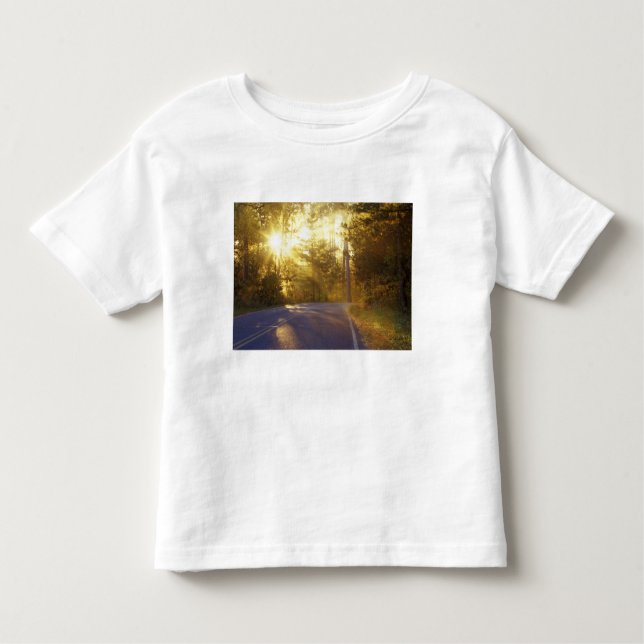 Sun bursts through the forest onto roadway at toddler T-Shirt (Front)