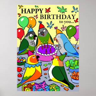 sun conure gcc quaker caique senegal parrot happy poster