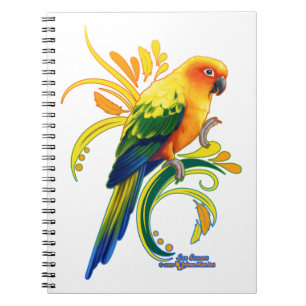 Sun Conure Notebook