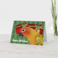 Sun Conure Parrot Christmas Holiday Card