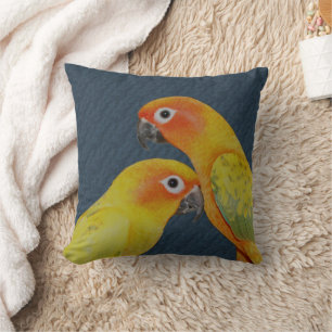 Sun Conure Parrots Cushion