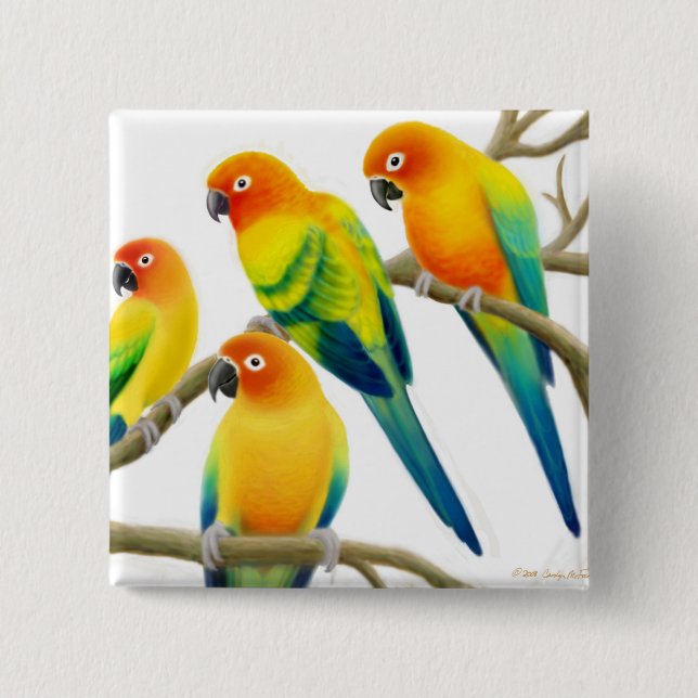 Sun Conure Parrots Pin (Front)